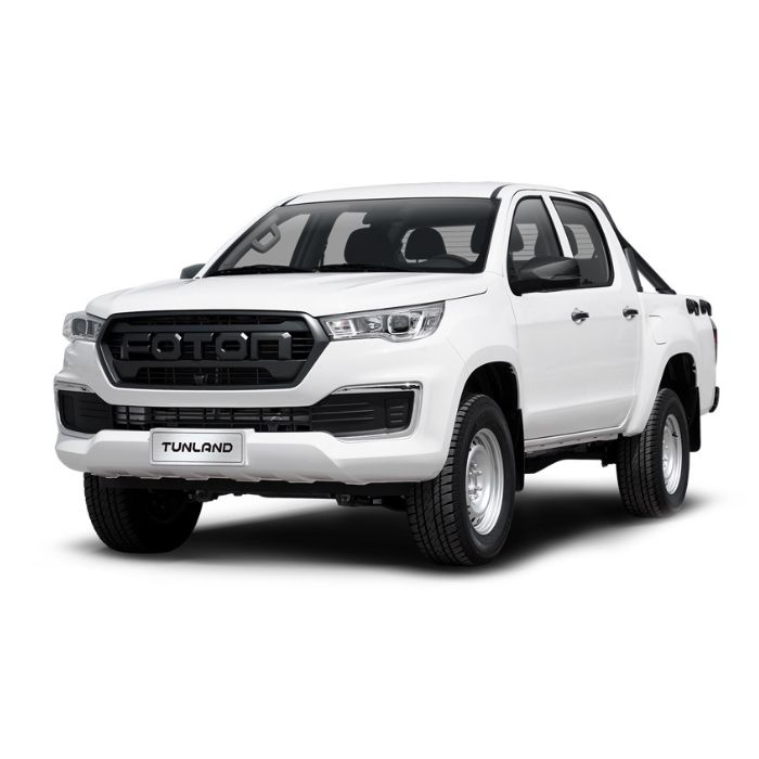 Auto Usate Bergamo - Auto Pick-up - Reduzzi Motor